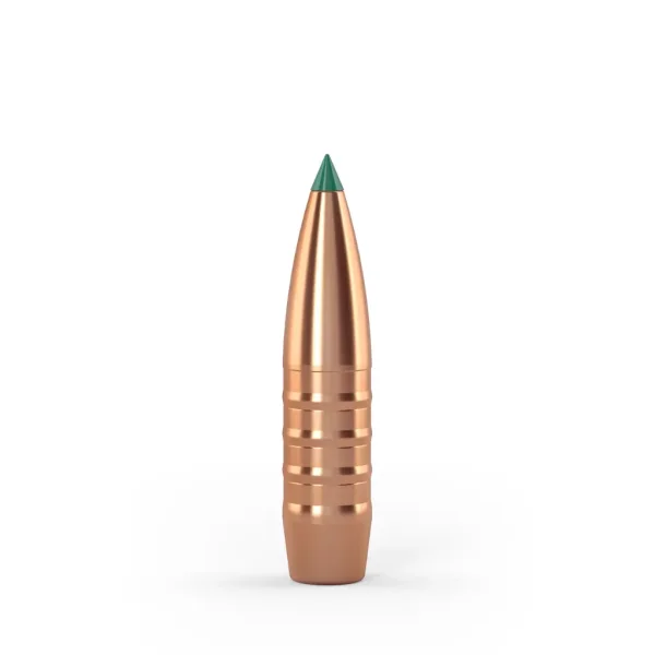 Twenty-Nine Crockett .30 Geschoss