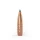 Twenty-Nine Crockett .30 Geschoss