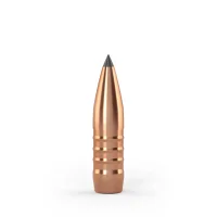 Twenty-Nine Crockett 8 mm – Jagdgeschoss, 50 Stk.