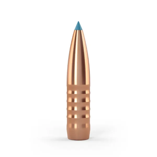 Twenty-Nine Crockett .338 Geschoss