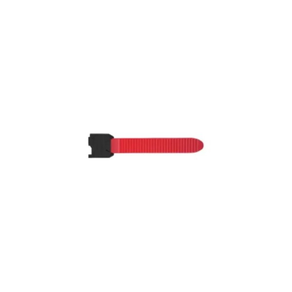 Rot